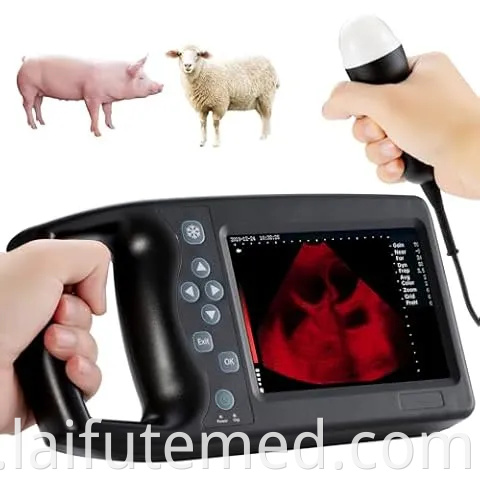 Portable Animal Veterinary Ultrasound for Medical Diagnostic Imaging Center Vet Using